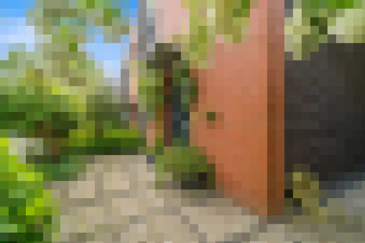 Zaaierstraat 49 Delfgauw thumbnail 4