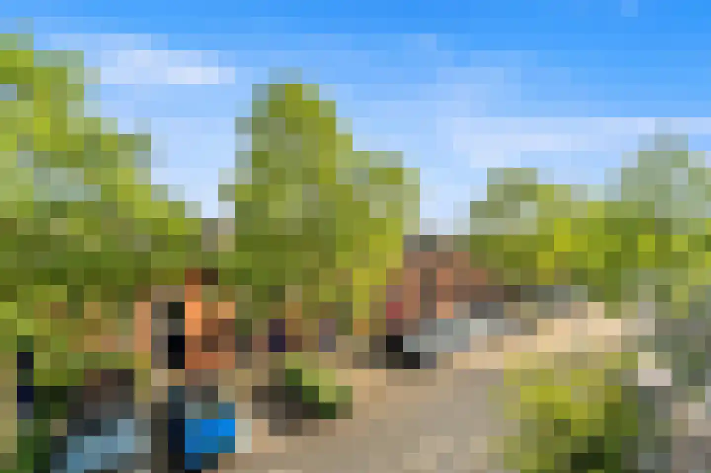 Zaaierstraat 49 Delfgauw thumbnail 42