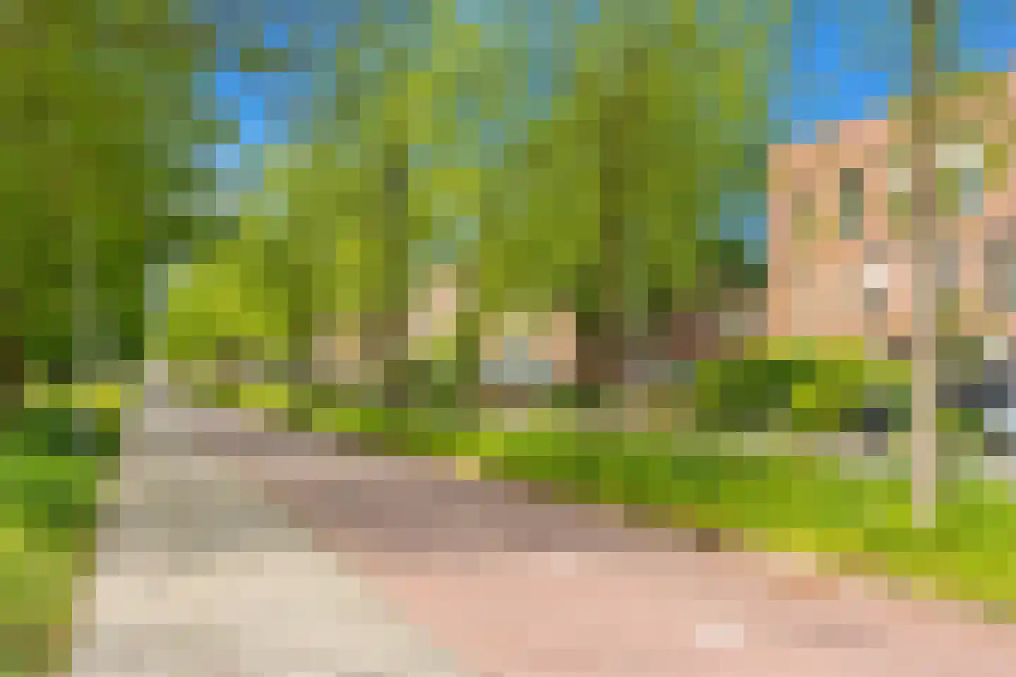 Zaaierstraat 49 Delfgauw thumbnail 52
