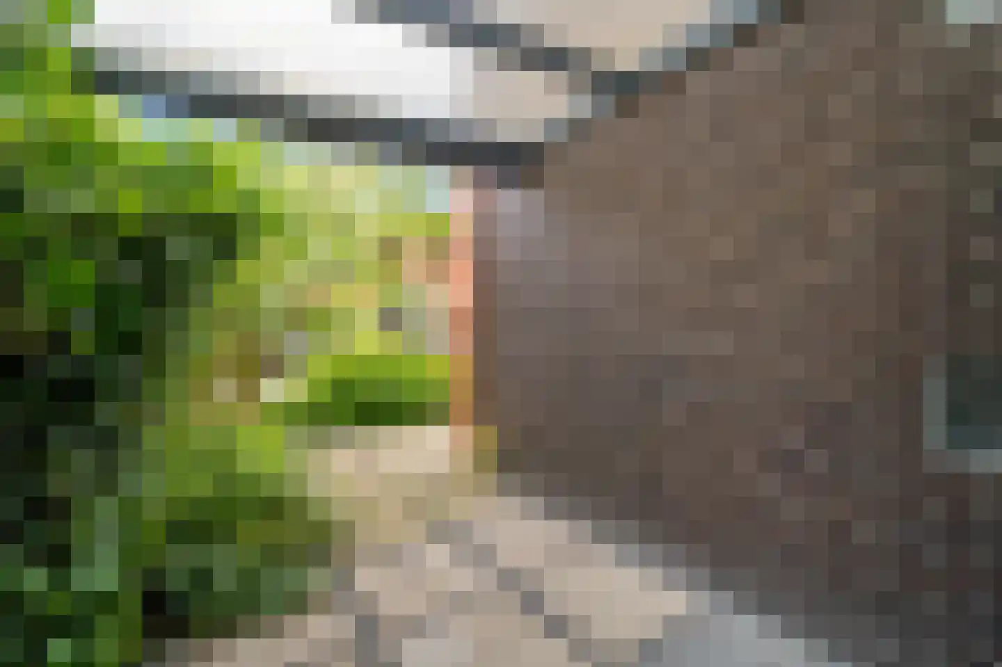 Zaaierstraat 49 Delfgauw thumbnail 7