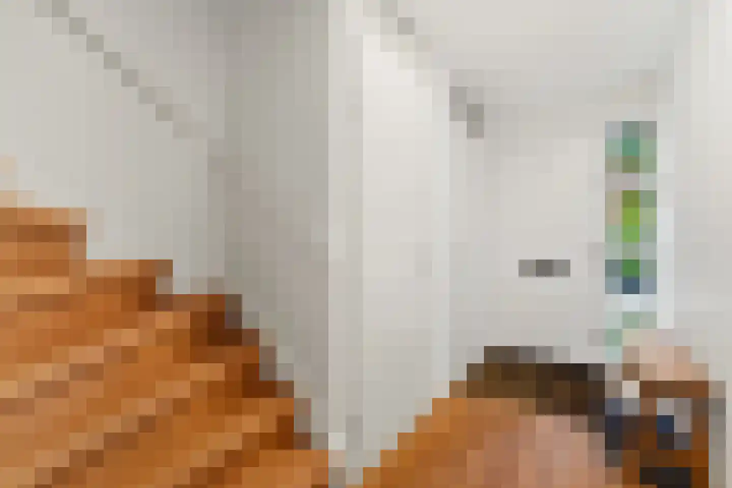 Zaaierstraat 49 Delfgauw thumbnail 9