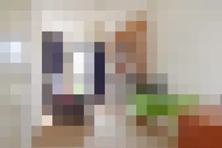 Zaaierstraat 58 Delfgauw thumbnail 36