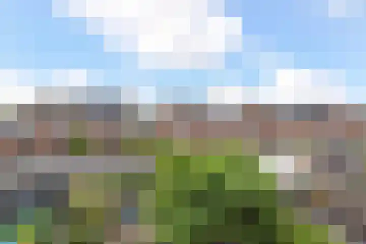 Zaaierstraat 58 Delfgauw thumbnail 41