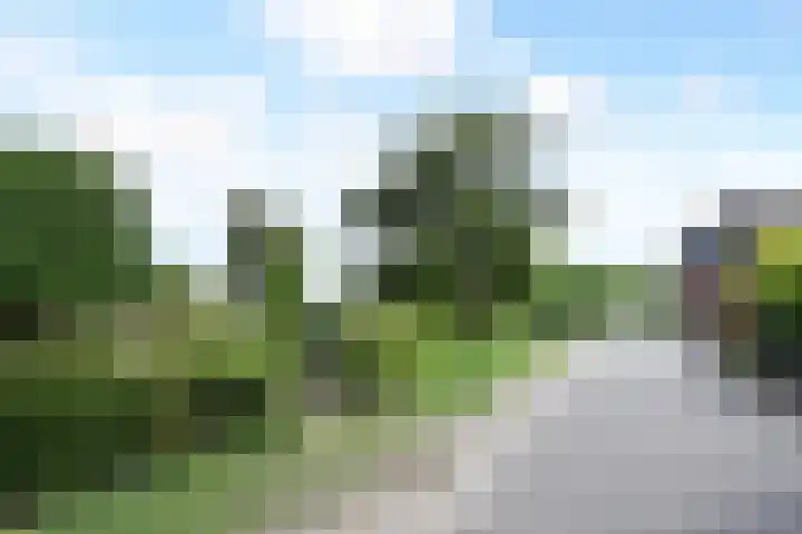 Zaaierstraat 58 Delfgauw thumbnail 47