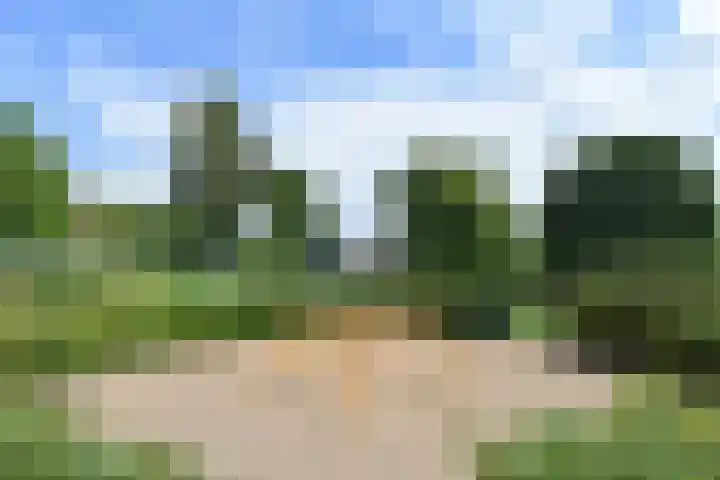 Zaaierstraat 58 Delfgauw thumbnail 48