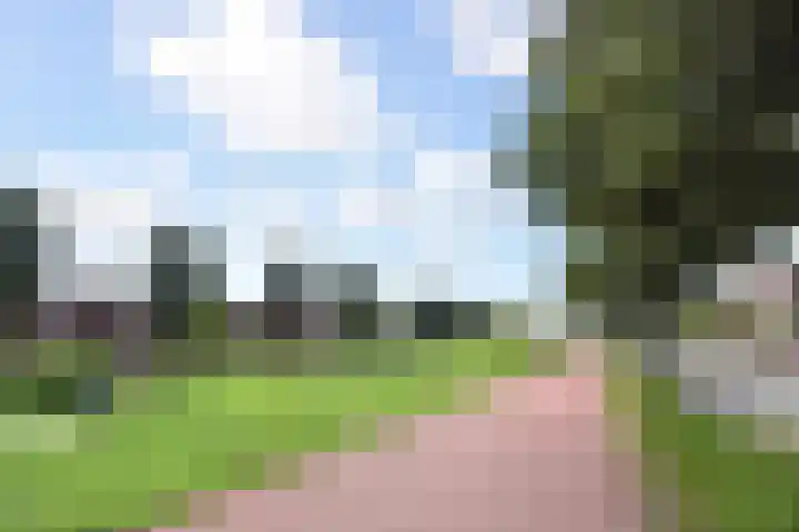 Zaaierstraat 58 Delfgauw thumbnail 49