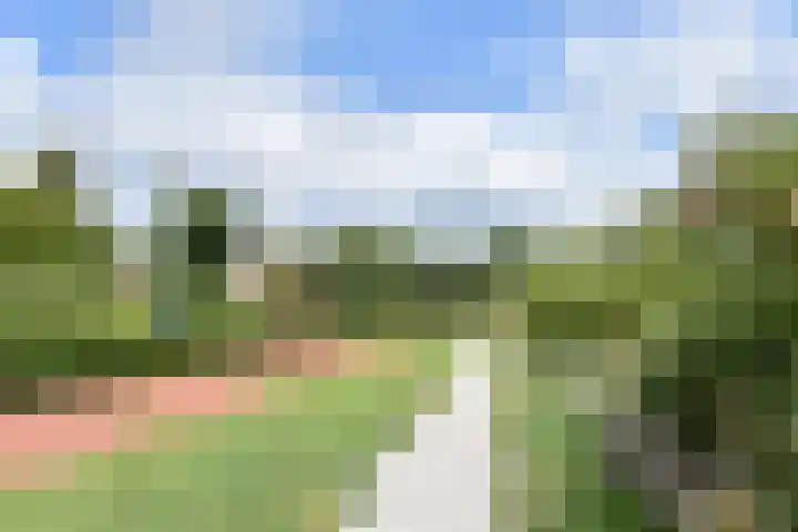 Zaaierstraat 58 Delfgauw thumbnail 50