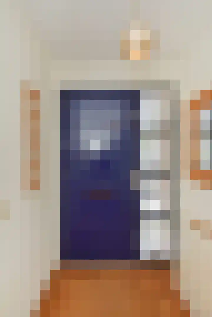 Zaaierstraat 58 Delfgauw thumbnail 8