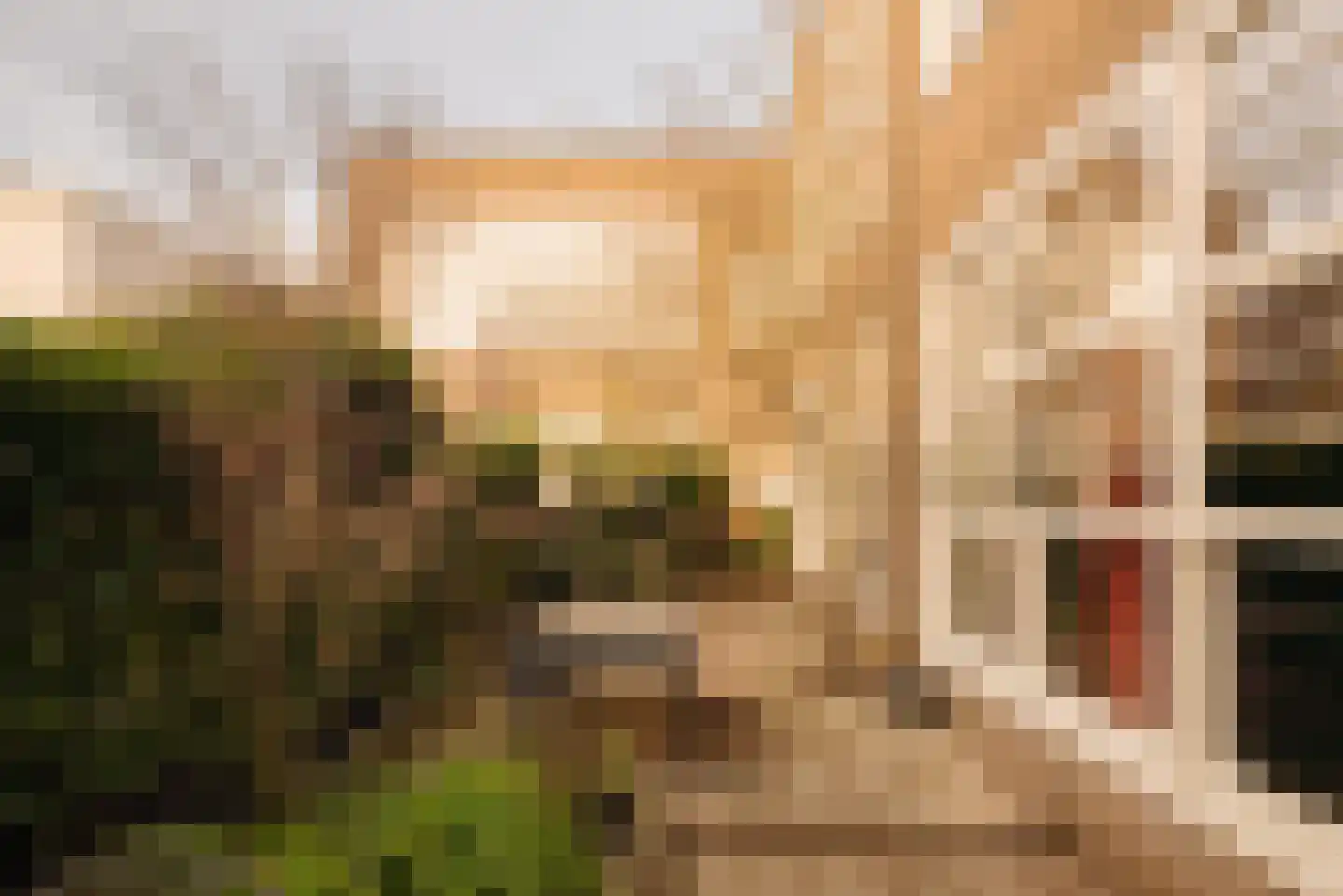Zaaiersweg 95 Amsterdam thumbnail 22