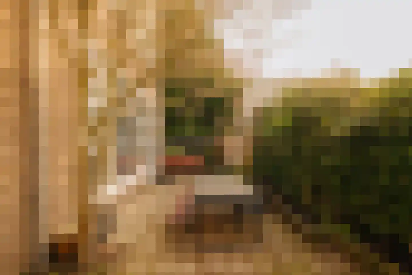 Zaaiersweg 95 Amsterdam thumbnail 23