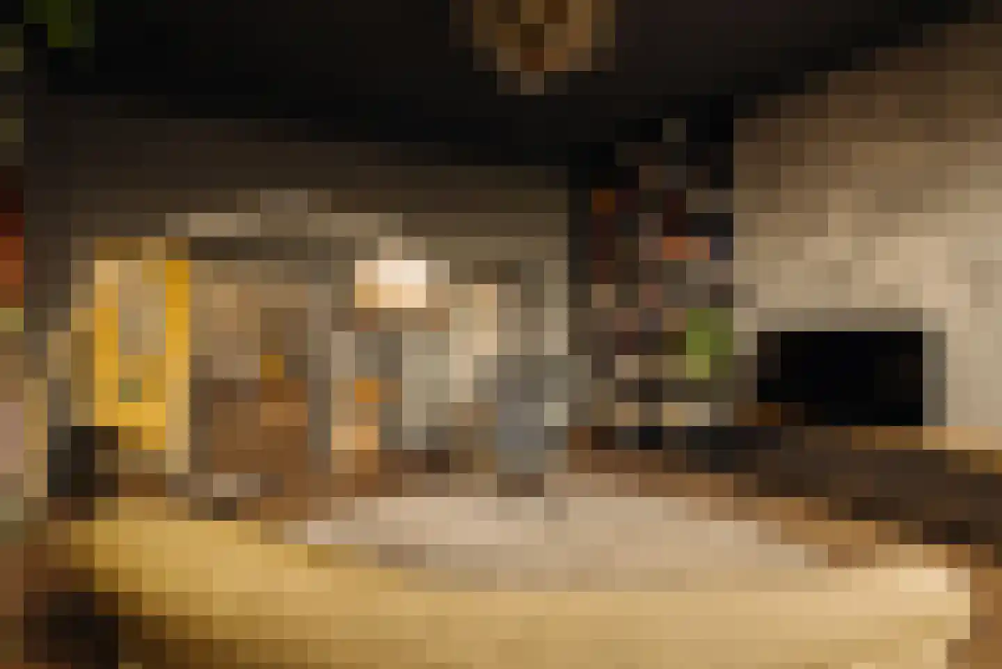Zaaiersweg 95 Amsterdam thumbnail 24