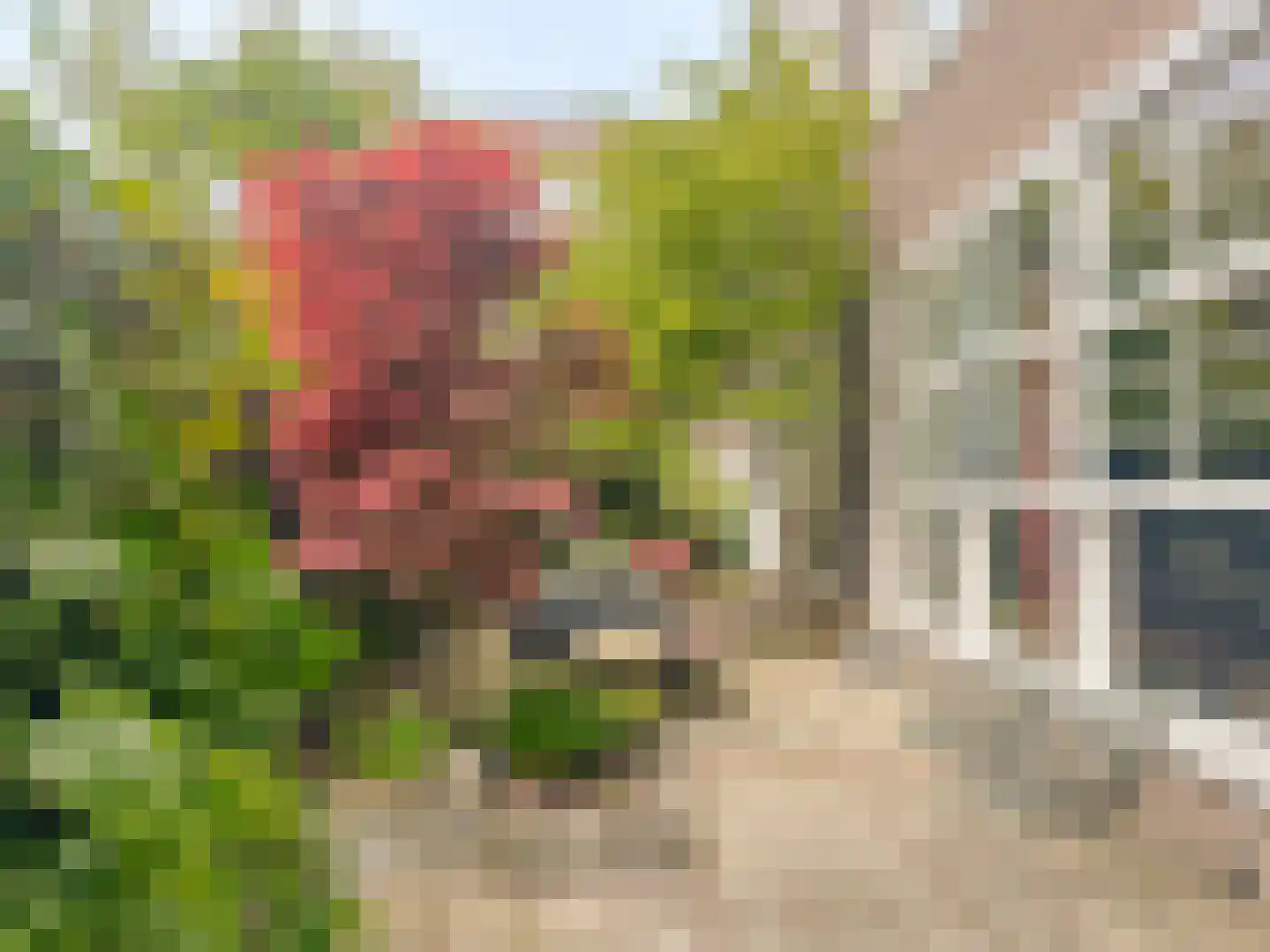 Zaaiersweg 95 Amsterdam thumbnail 25