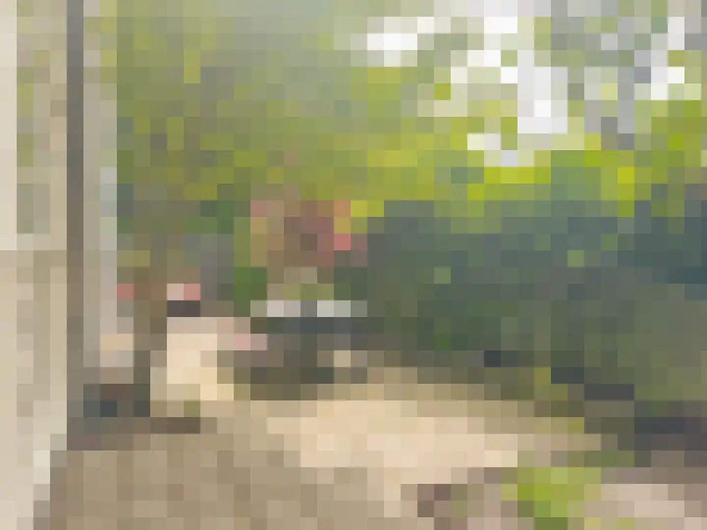 Zaaiersweg 95 Amsterdam thumbnail 27