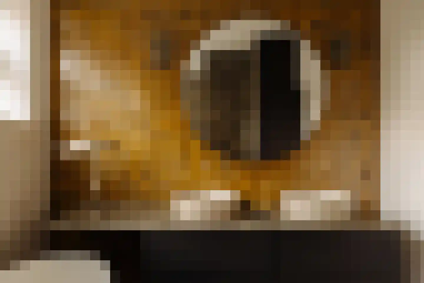 Zaaiersweg 95 Amsterdam thumbnail 35