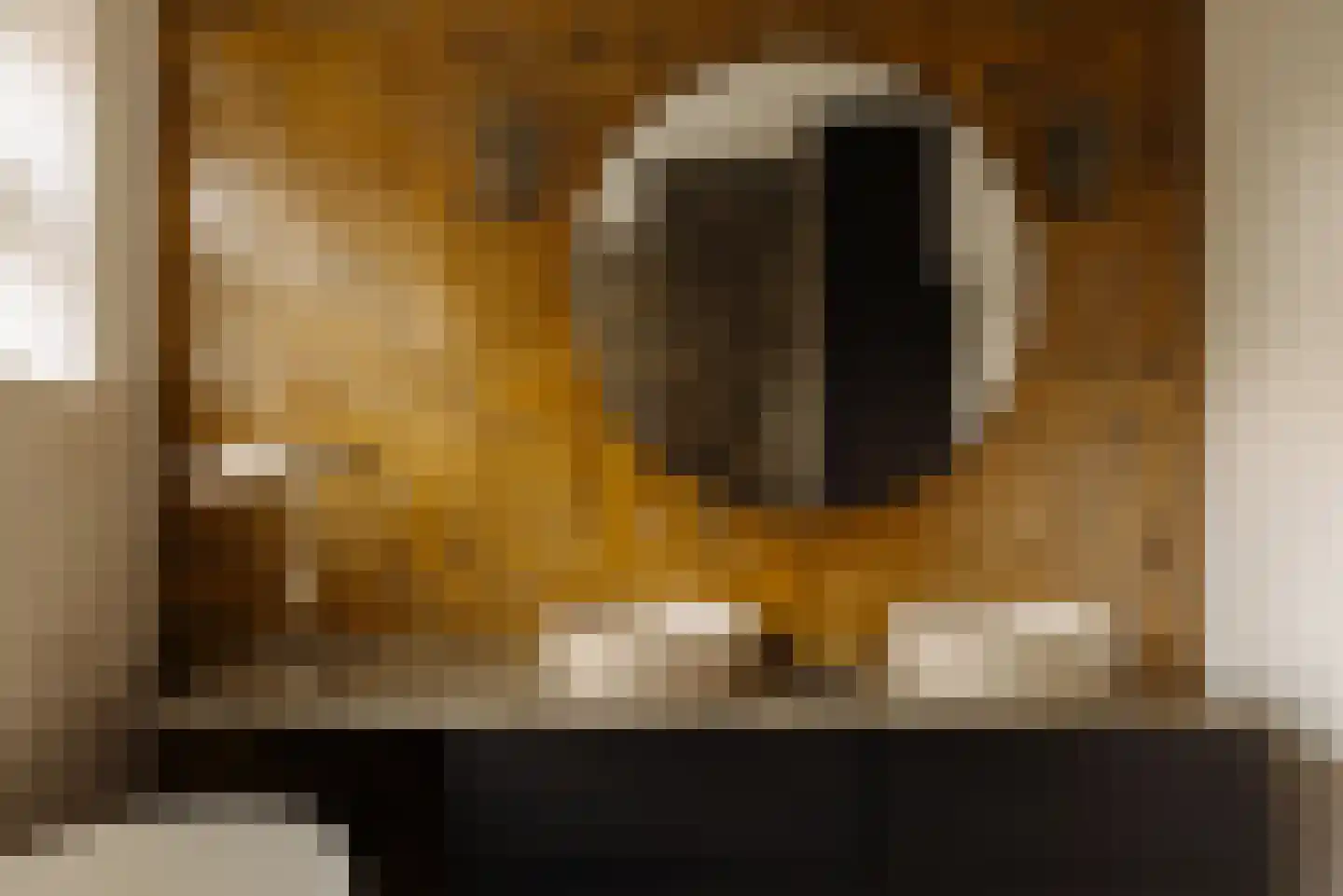 Zaaiersweg 95 Amsterdam thumbnail 36