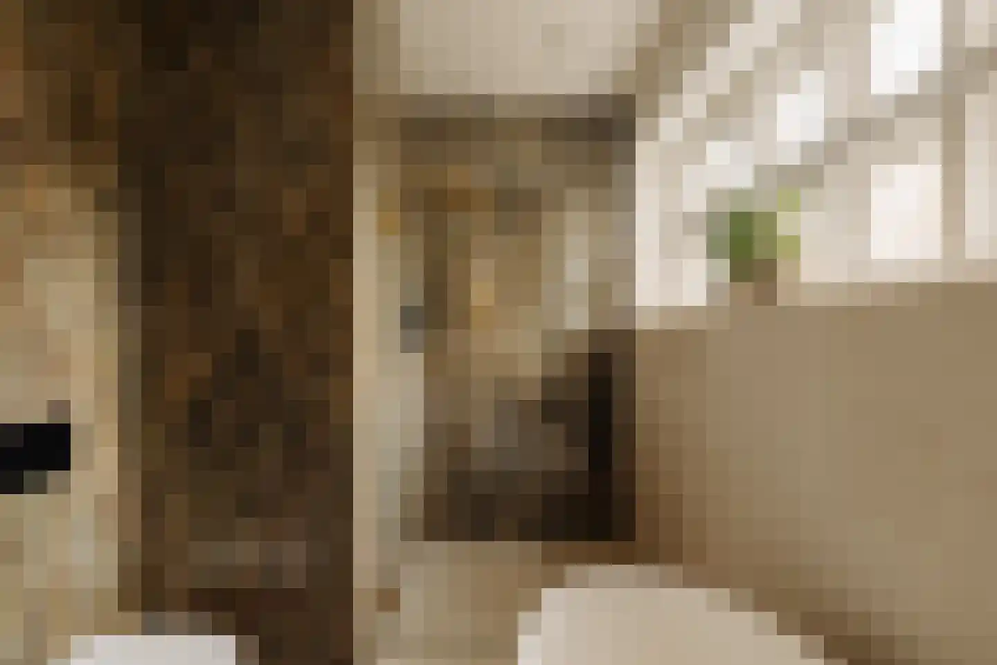 Zaaiersweg 95 Amsterdam thumbnail 36