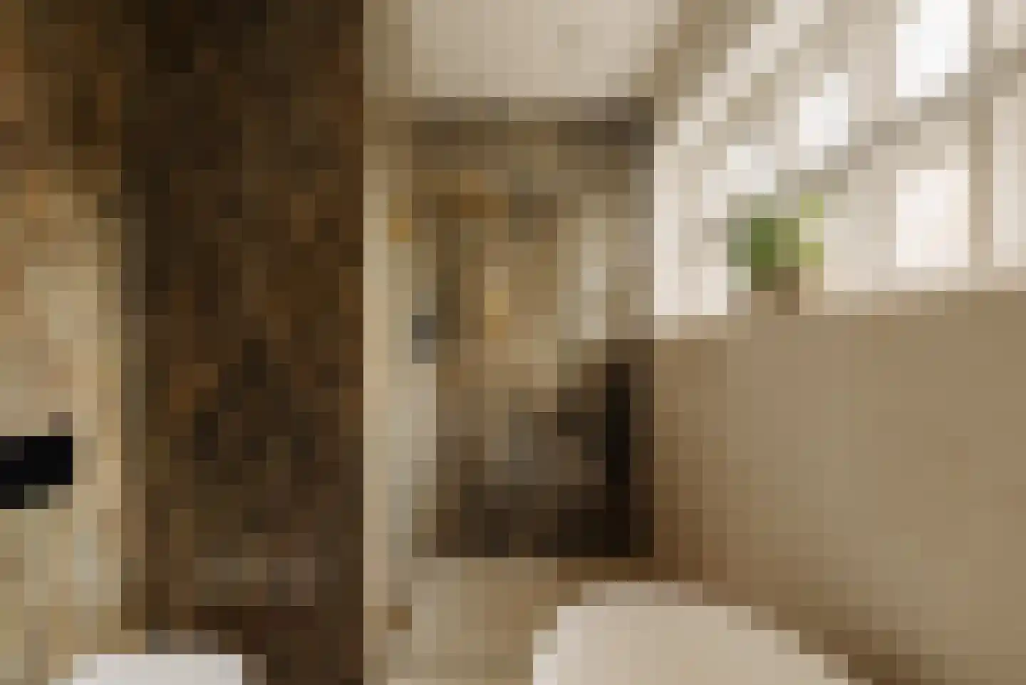 Zaaiersweg 95 Amsterdam thumbnail 36