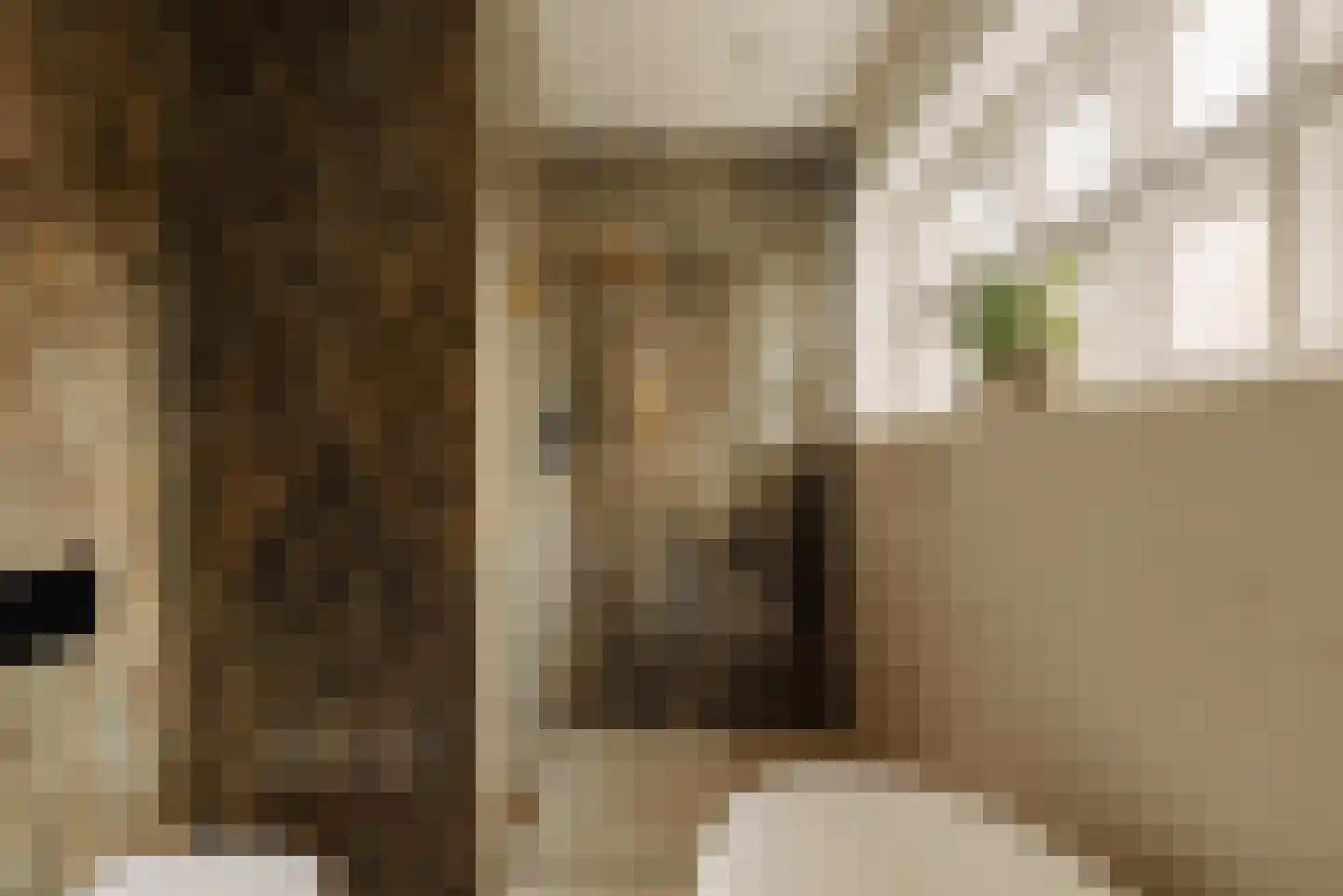 Zaaiersweg 95 Amsterdam thumbnail 37