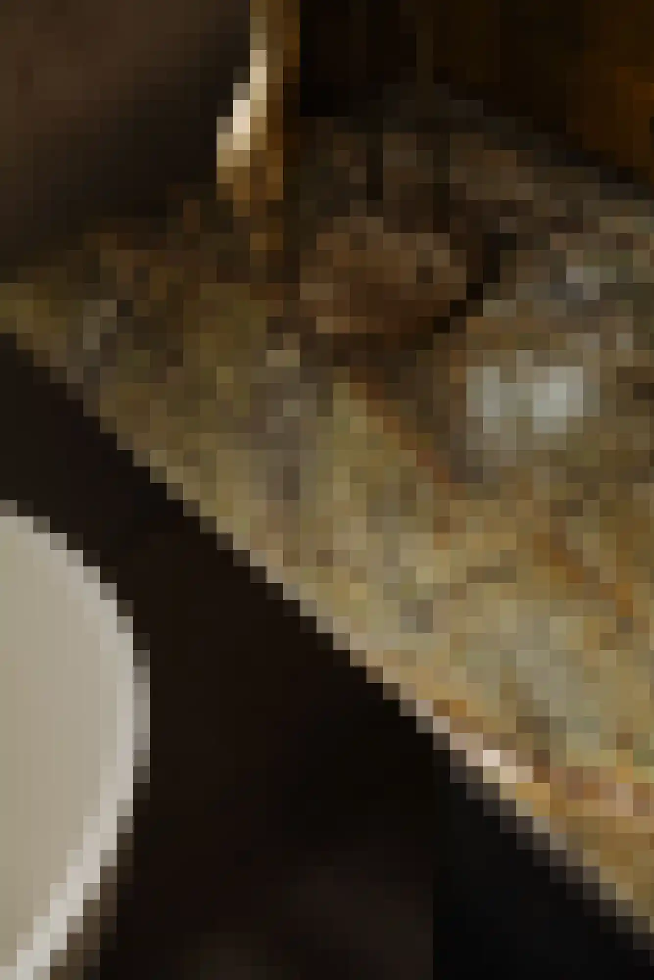 Zaaiersweg 95 Amsterdam thumbnail 38