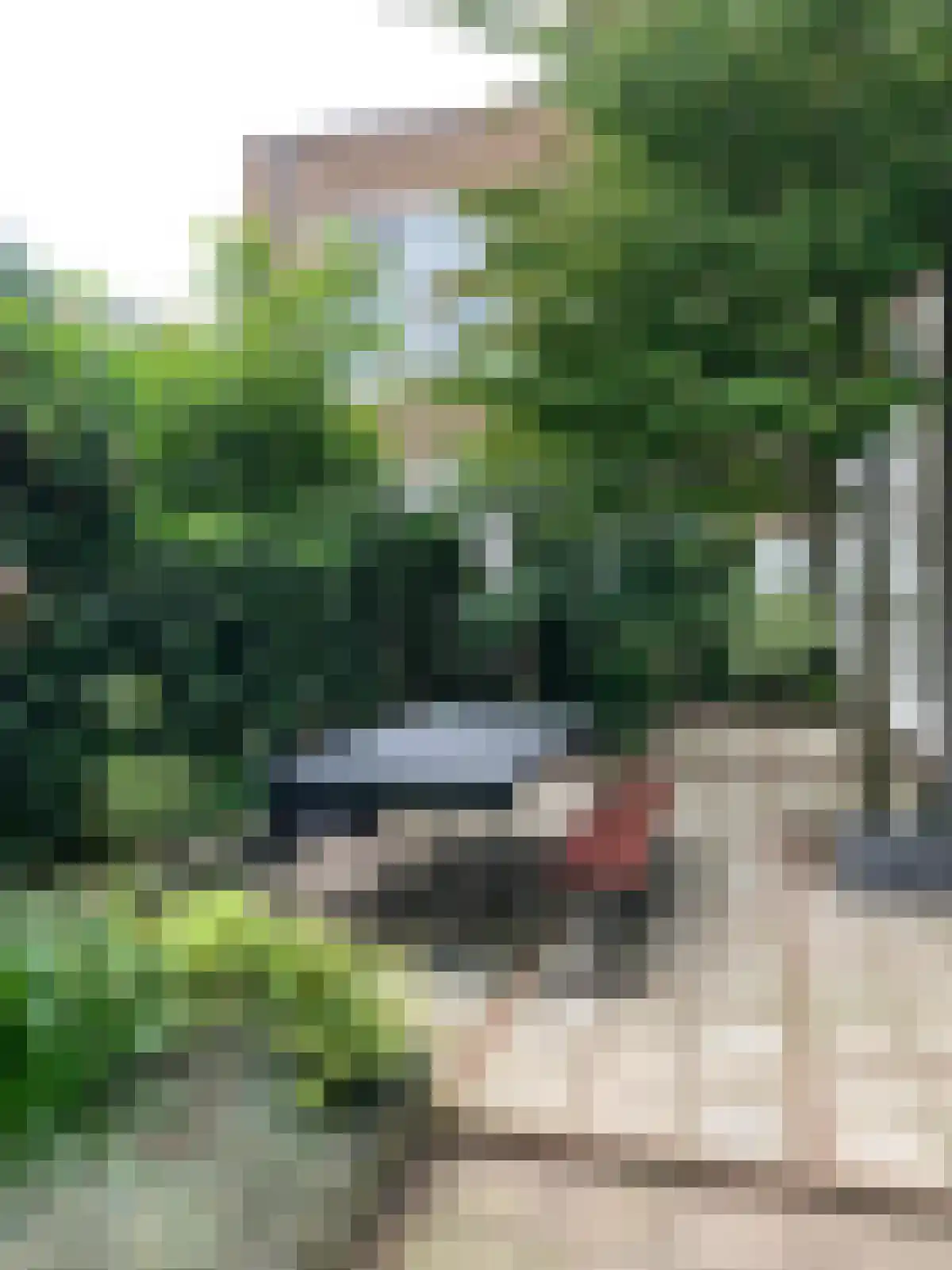 Zaaiersweg 95 Amsterdam thumbnail 57
