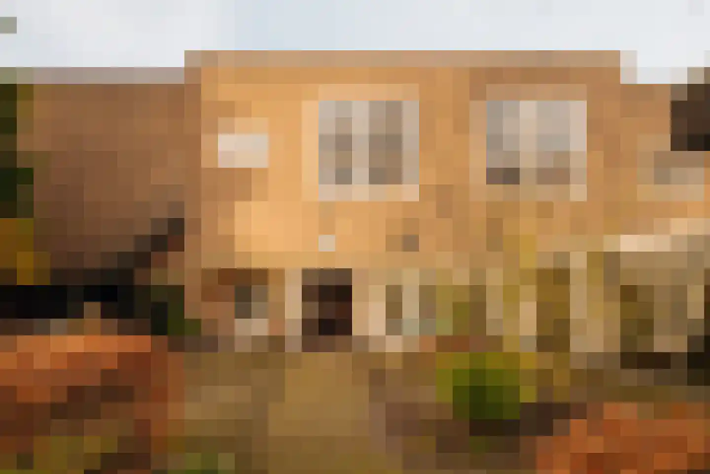 Zaaiersweg 95 Amsterdam thumbnail 6