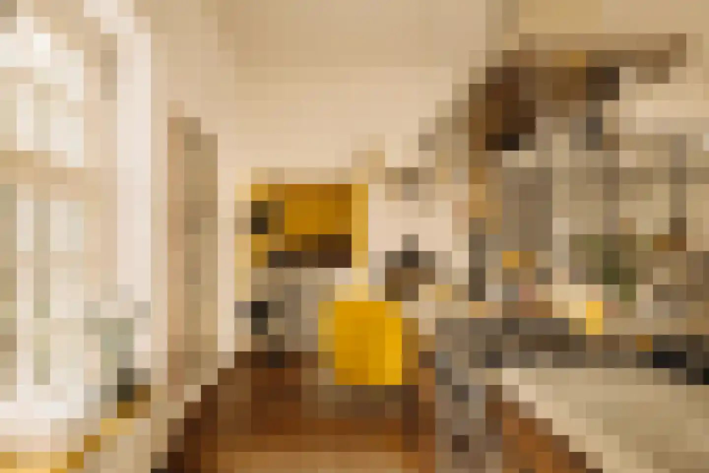 Zaaiersweg 95 Amsterdam thumbnail 7