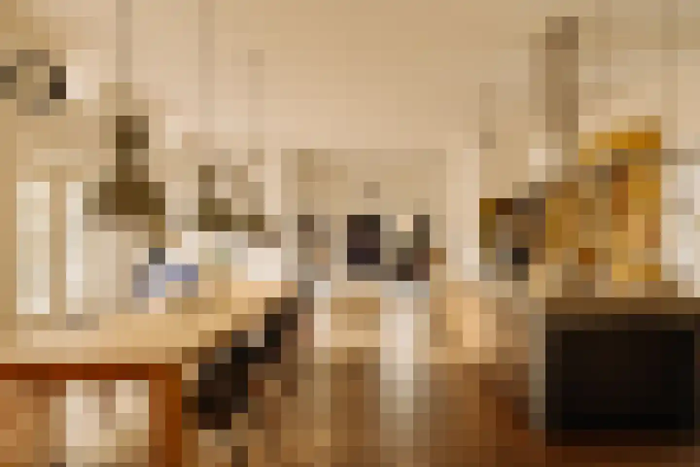 Zaaiersweg 95 Amsterdam thumbnail 8