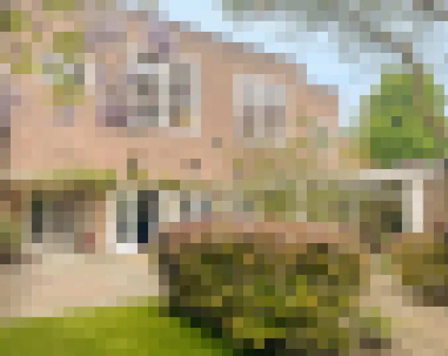 Zaaiersweg 95 Amsterdam thumbnail 9