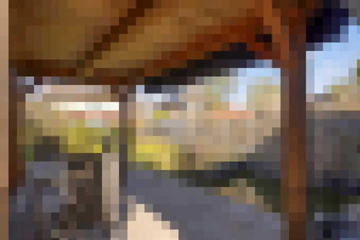 Zaaijerplein 15 Oosterbeek thumbnail 16