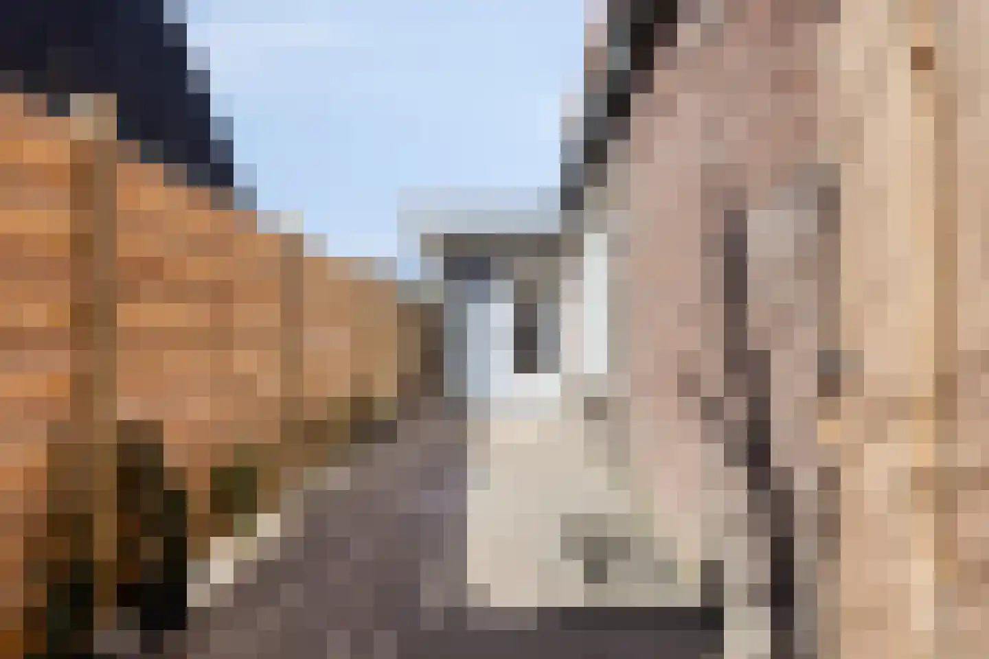 Zaaijerplein 15 Oosterbeek thumbnail 22