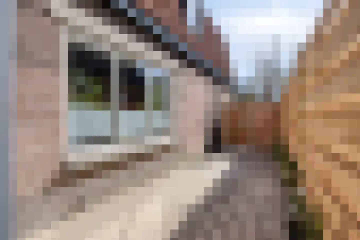 Zaaijerplein 15 Oosterbeek thumbnail 23