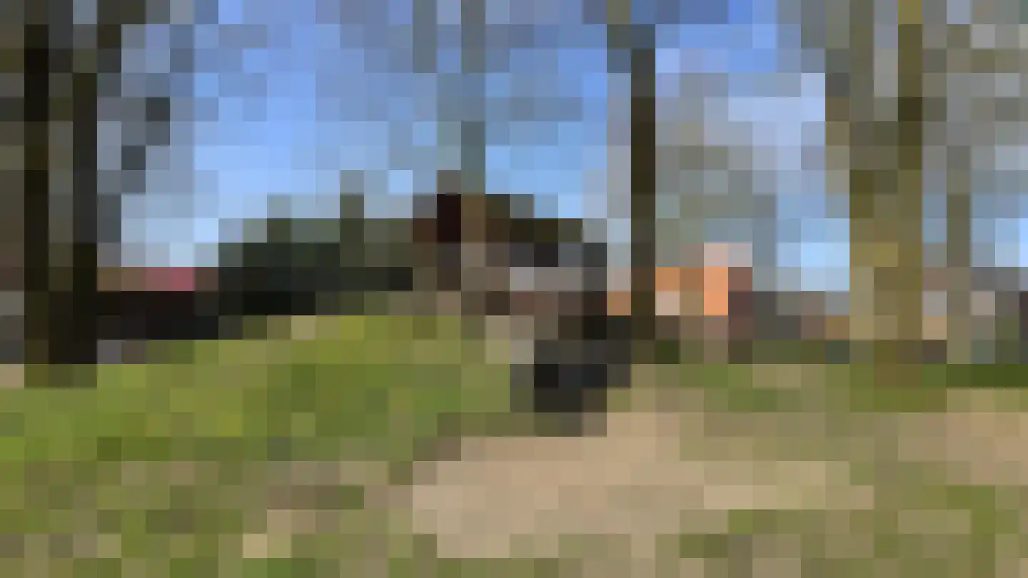 Zaaijerplein 15 Oosterbeek thumbnail 45