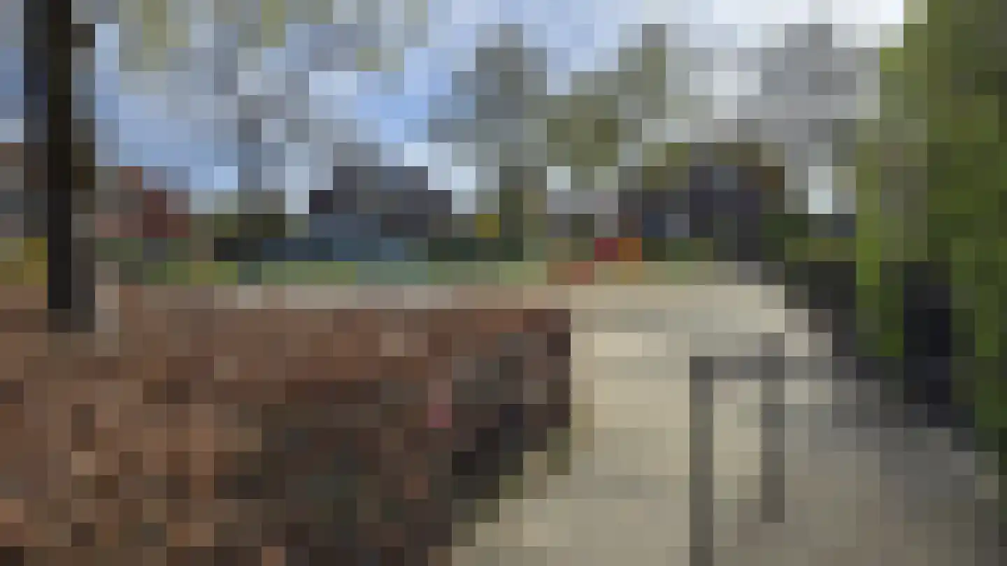 Zaaijerplein 15 Oosterbeek thumbnail 46