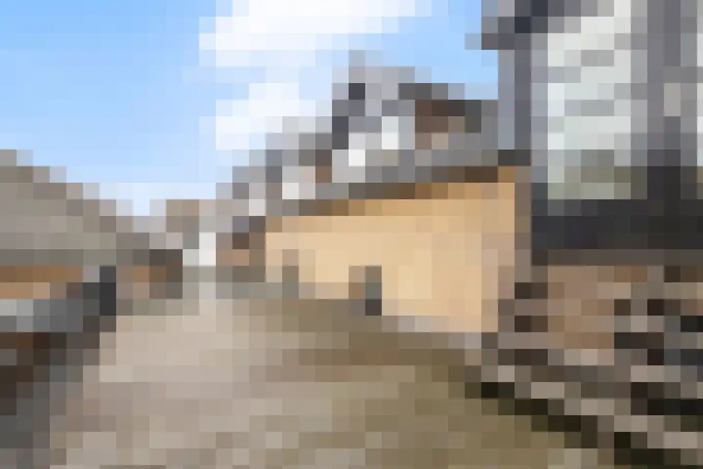 Zaaijerplein 17 Oosterbeek thumbnail 20