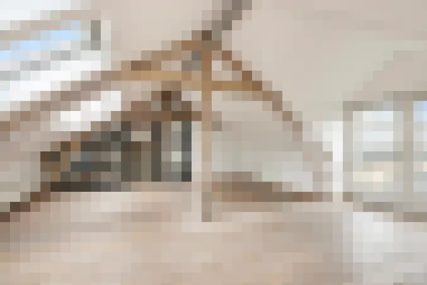 Zaaijerplein 17 Oosterbeek thumbnail 32