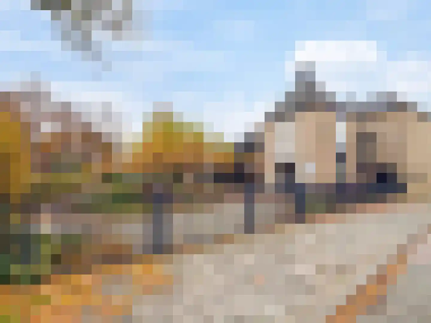 Zaaijerplein 17 Oosterbeek thumbnail 39
