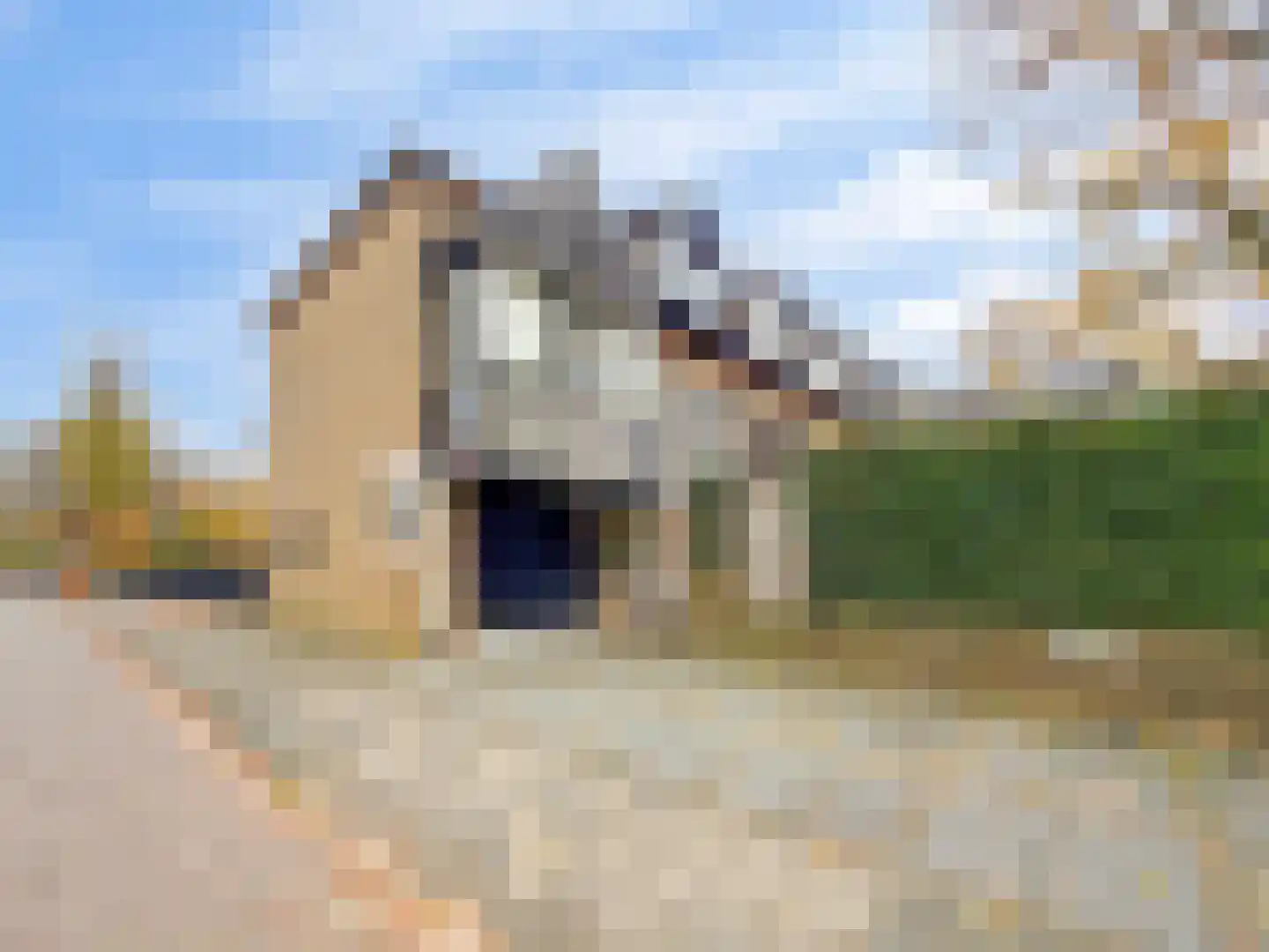 Zaaijerplein 17 Oosterbeek thumbnail 4