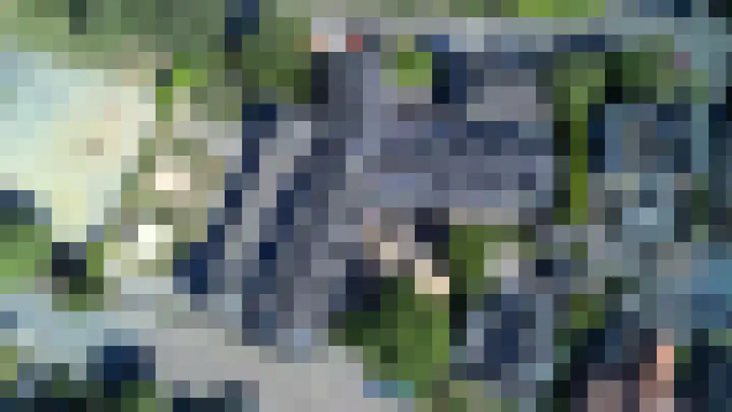 Zaaijerplein 17 Oosterbeek thumbnail 41