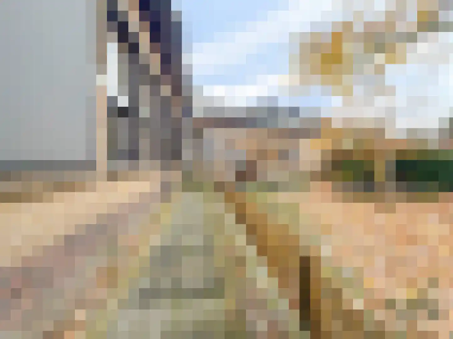 Zaaijerplein 17 Oosterbeek thumbnail 5