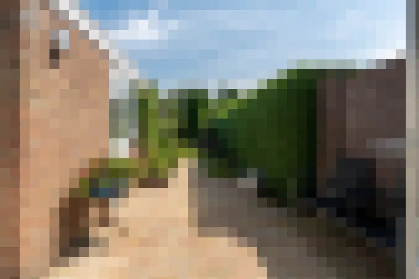 Zaailand 10 Epe thumbnail 24