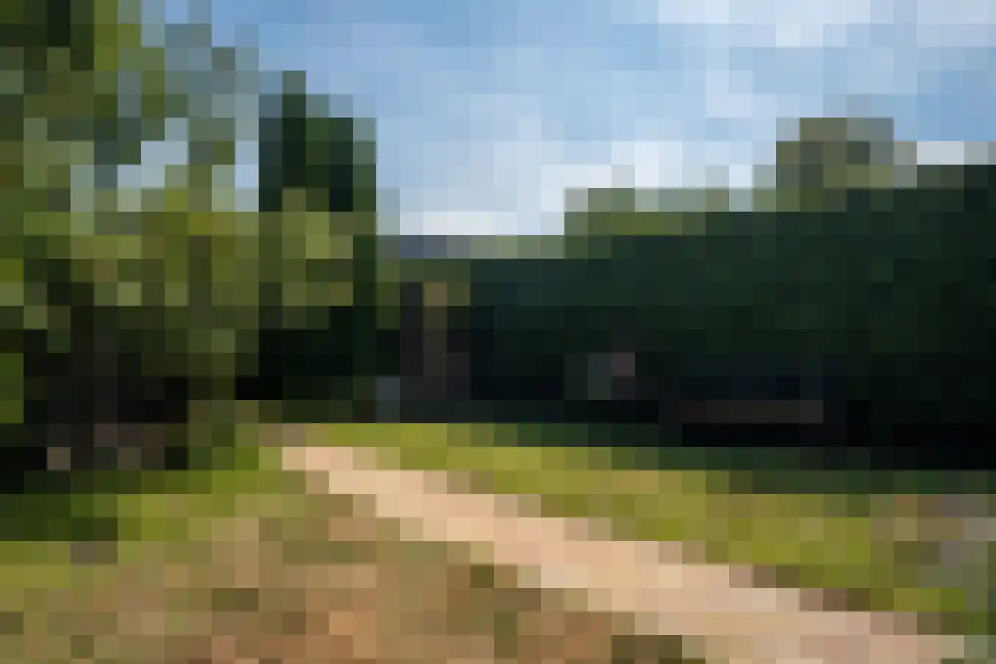 Zaailand 10 Epe thumbnail 29