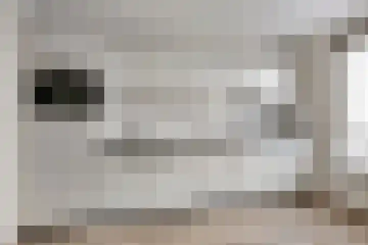 Zaailand 21 Leeuwarden thumbnail 12