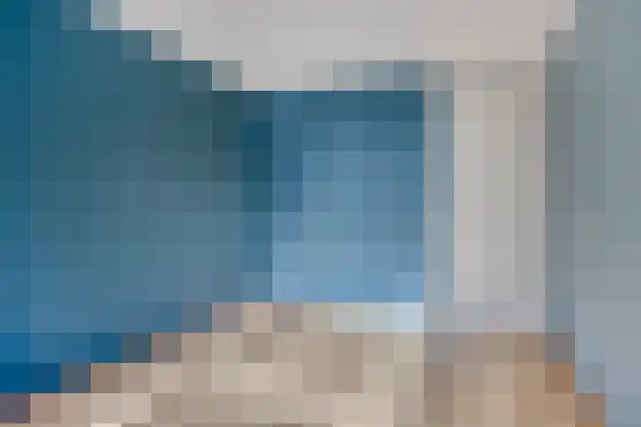 Zaailand 21 Leeuwarden thumbnail 17