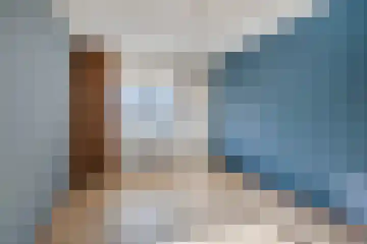 Zaailand 21 Leeuwarden thumbnail 18