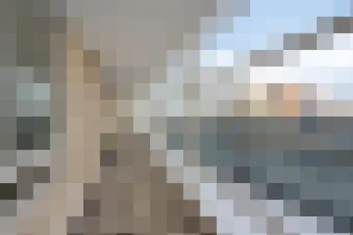 Zaailand 21 Leeuwarden thumbnail 7