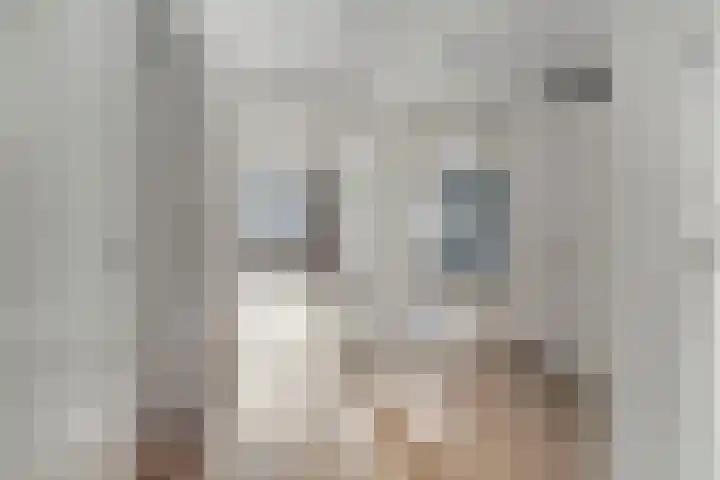 Zaailand 21 Leeuwarden thumbnail 8
