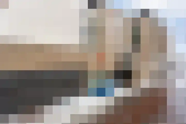 Zaailand 225 Leeuwarden thumbnail 17