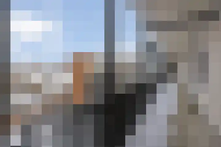 Zaailand 225 Leeuwarden thumbnail 6