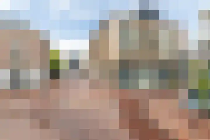 Zaailand 229 Leeuwarden thumbnail 6