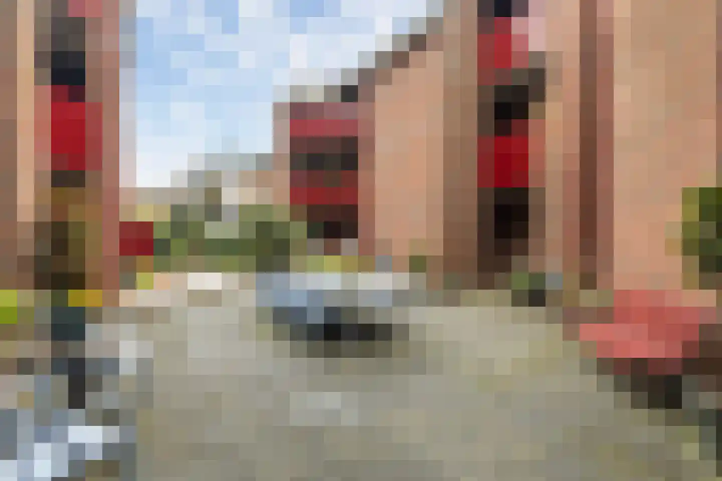 Zaailand 4 b Leeuwarden thumbnail 22